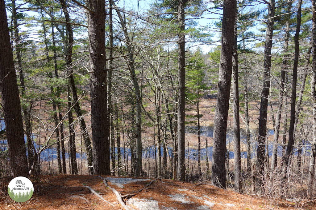 View from the top of the trail in Goodwill Conservation Area