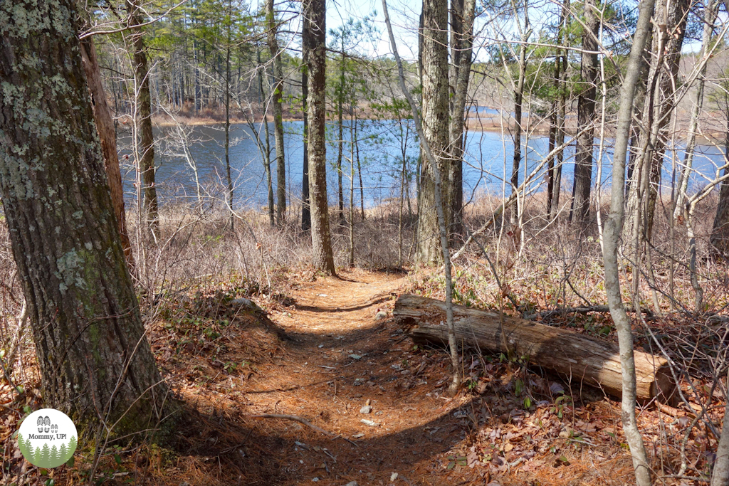 the trail in the goodwill conservation area