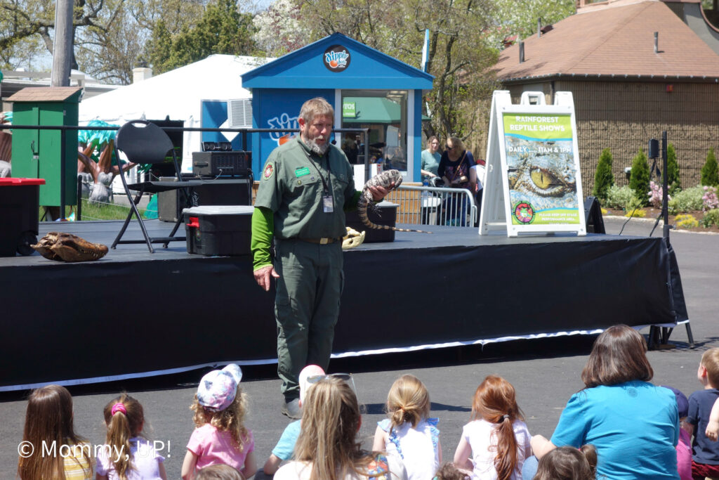 reptile presentation at roger williams park zoo