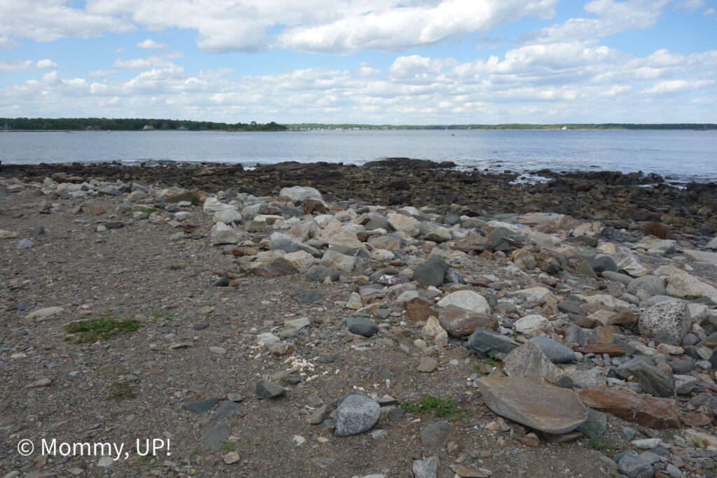 Odiorne Point State Park rocky coast