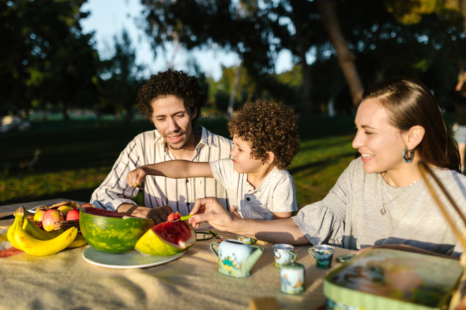 family having a picnic in the park for the 1000 hours outside challenge