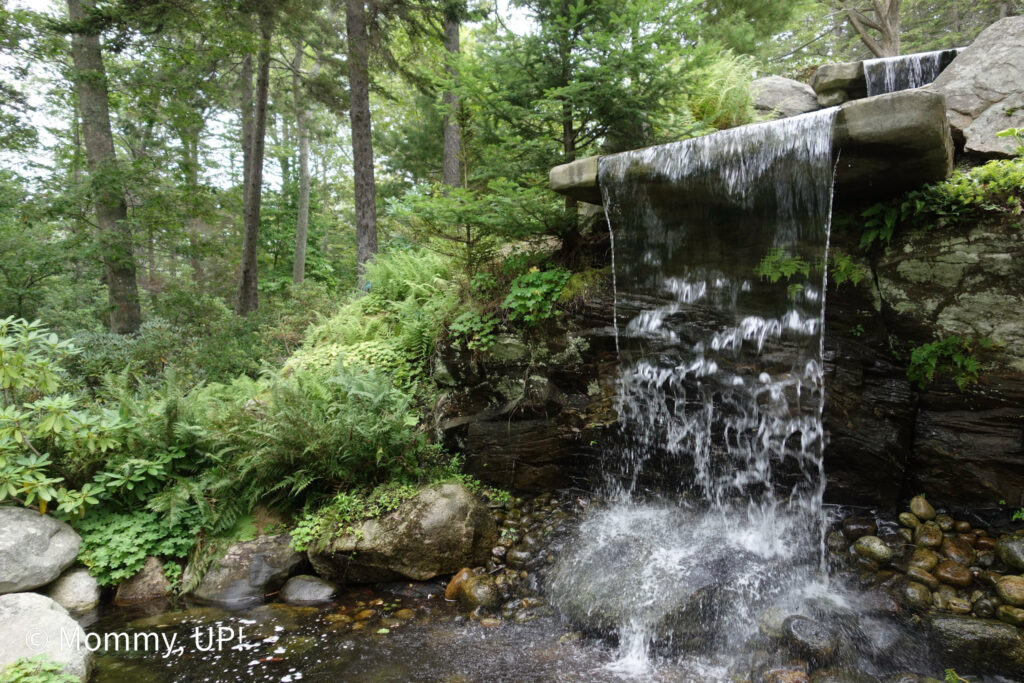 View of the waterfall at the coastal maine botanical gardens with kids