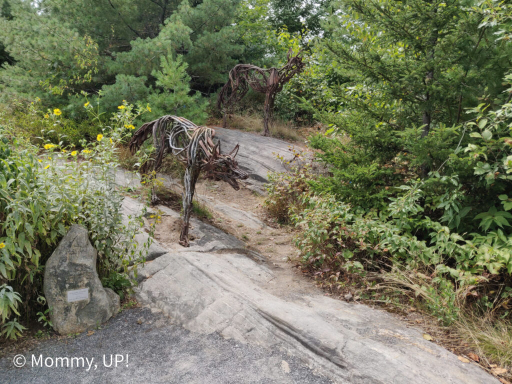 sculpture at coastal maine botanical gardens with kids