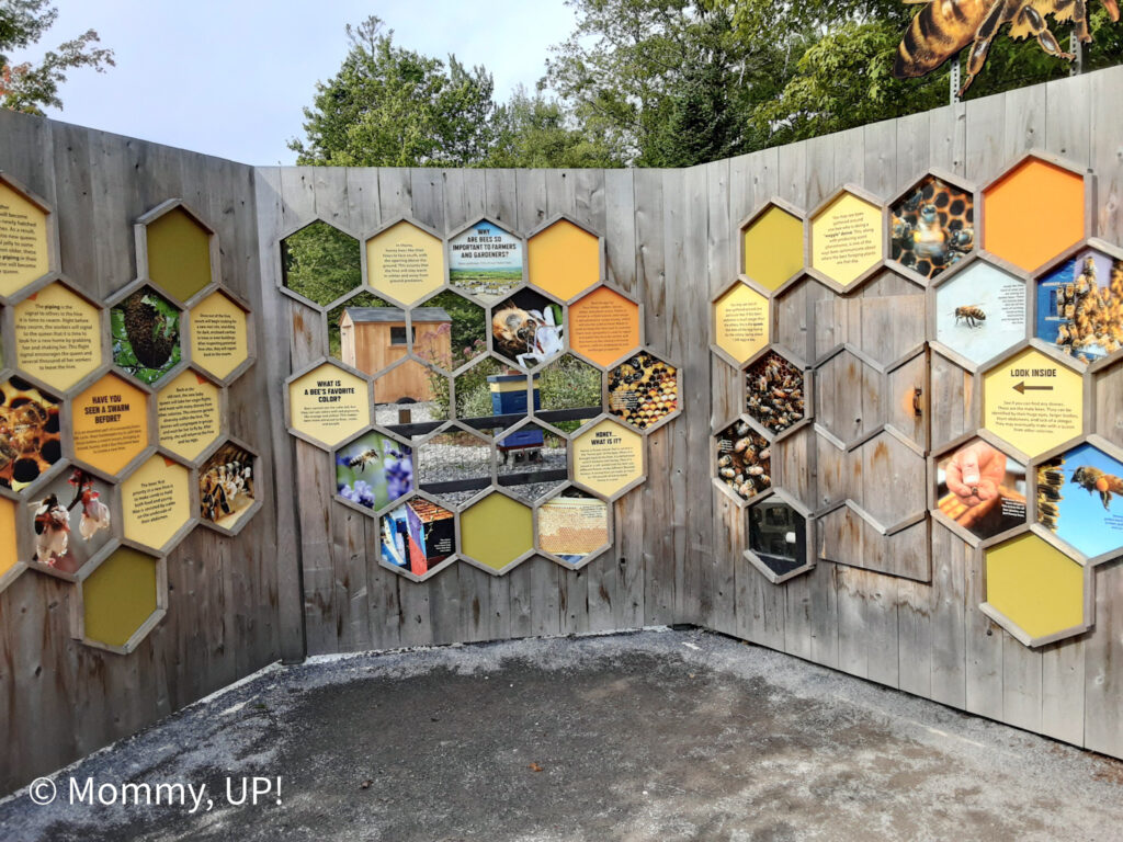 visit the apiary at the coastal maine botanical gardens with kids