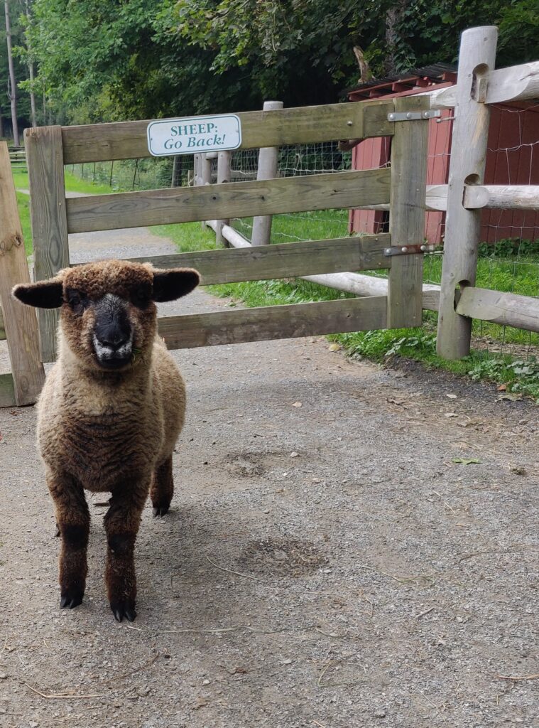 farm animals in southern nh