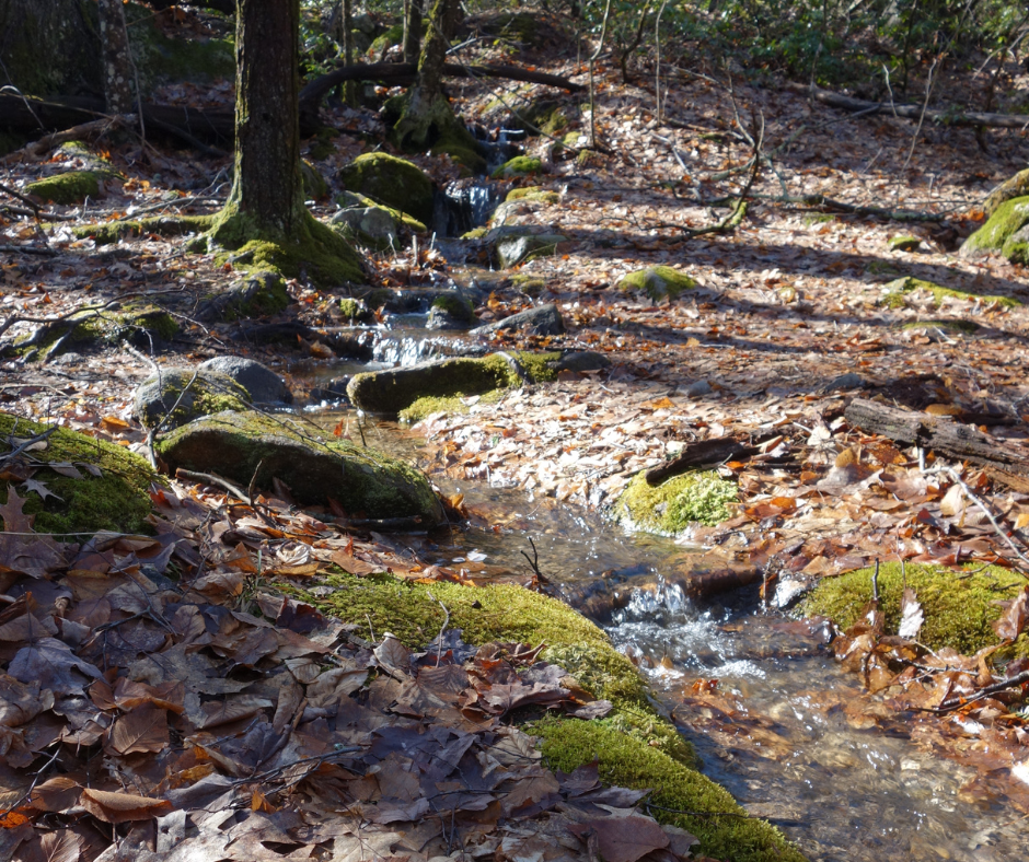 stream on tupelo trail hollis