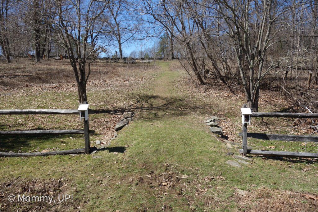 path to the Beaver Brook natural play area 