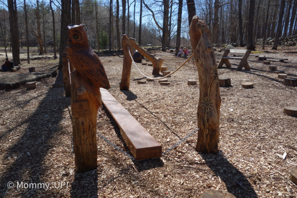 owl wobble bridge at beaver brook