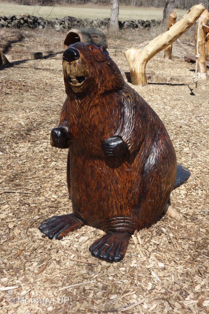 Beaver statue at Beaver Brook Association's Nature Play Area
