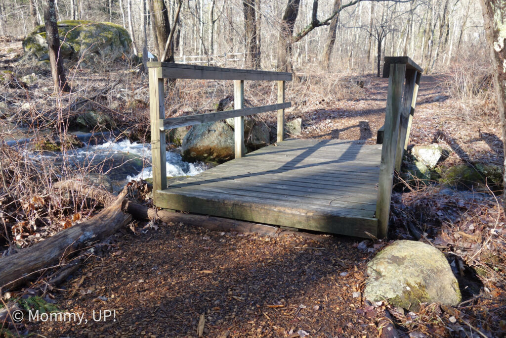 rocky pond trailhead hollis