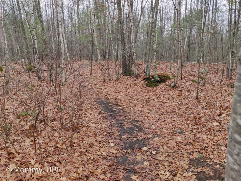 loop trail at horse hill