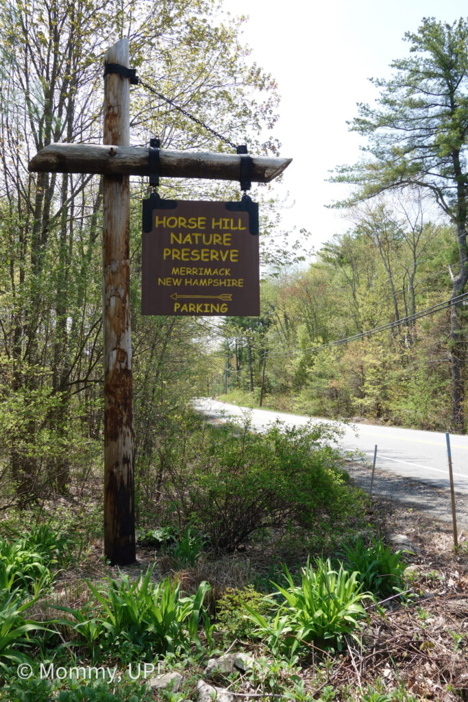 horse hill nature preserve