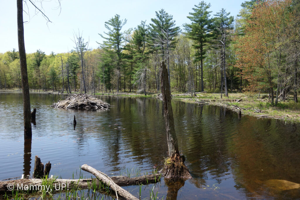 horse hill merrimack