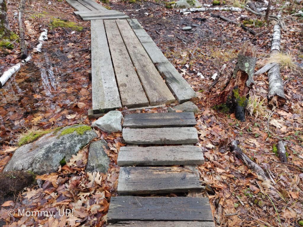 Loop trail boardwalk