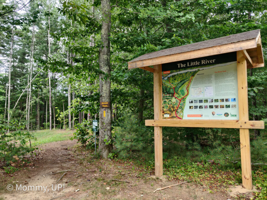 hiking trail at little river park