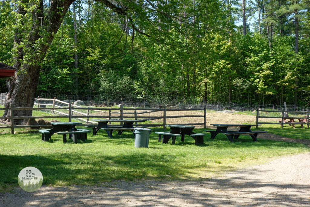 picnic area at the nh petting zoo