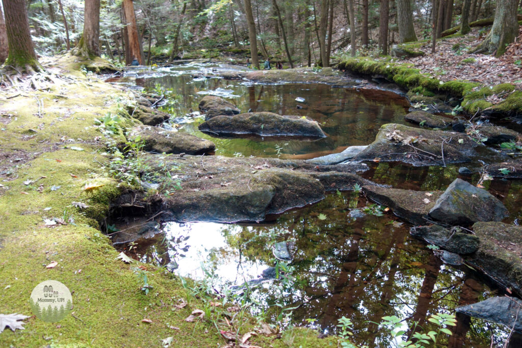 tucker brook falls