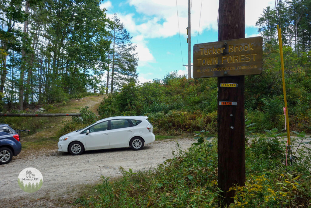 savage rd parking for tucker brook town forest