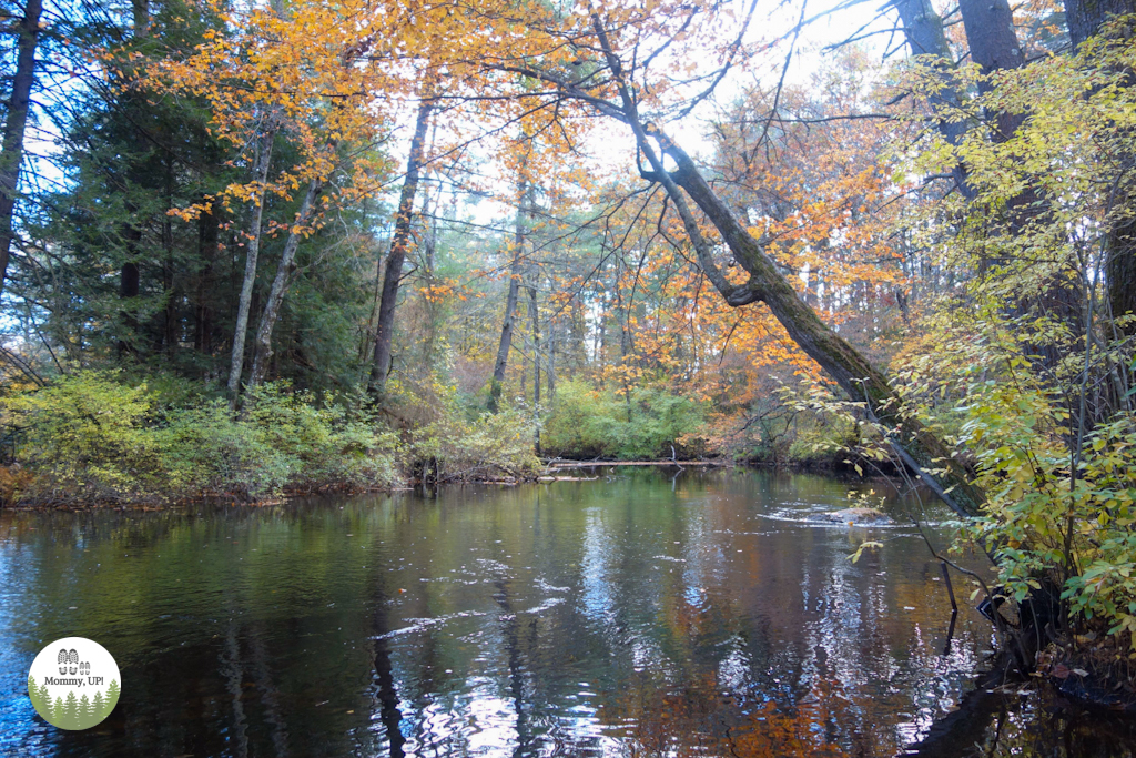 the River at Mary's Trail in Brookline