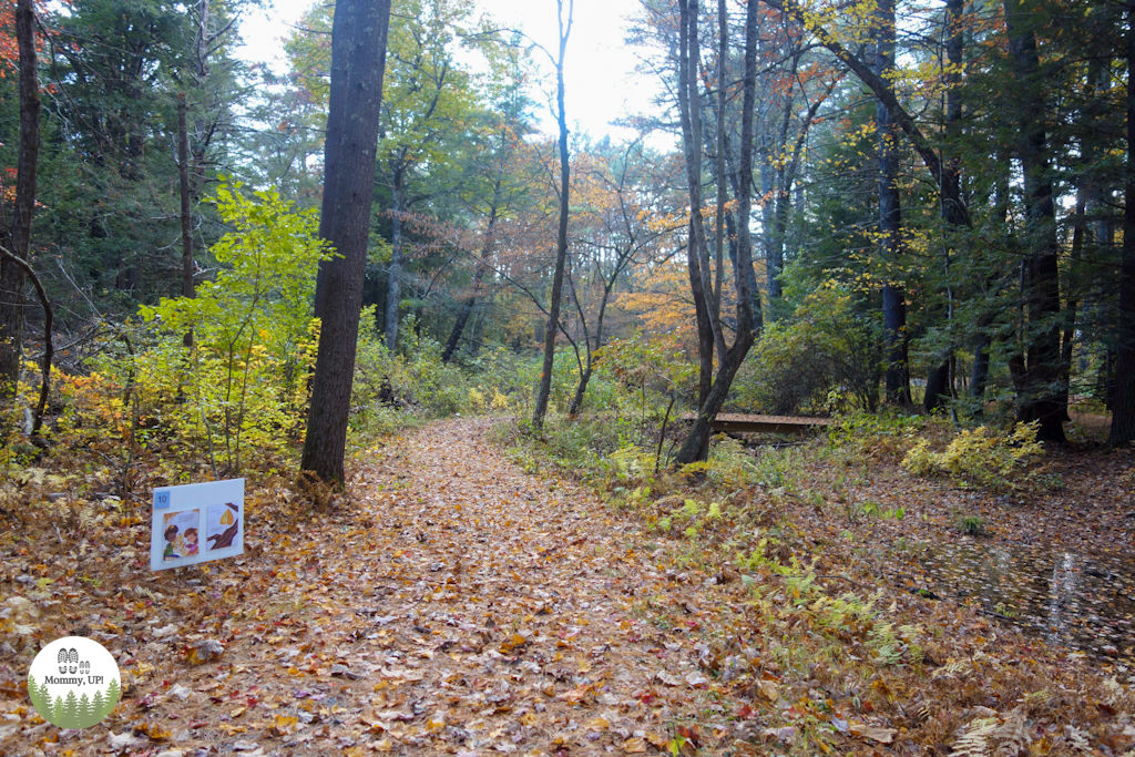 Storywalk by the Brookline Library