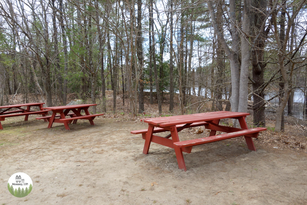picnic tables outside at the butterfly place