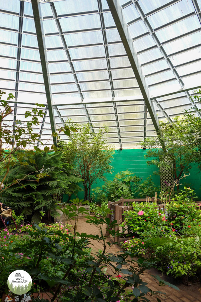 The atrium at the Butterfly place