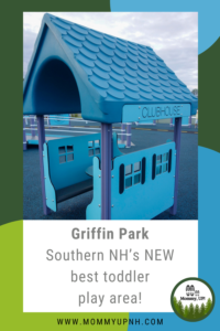 Pin Griffin Park