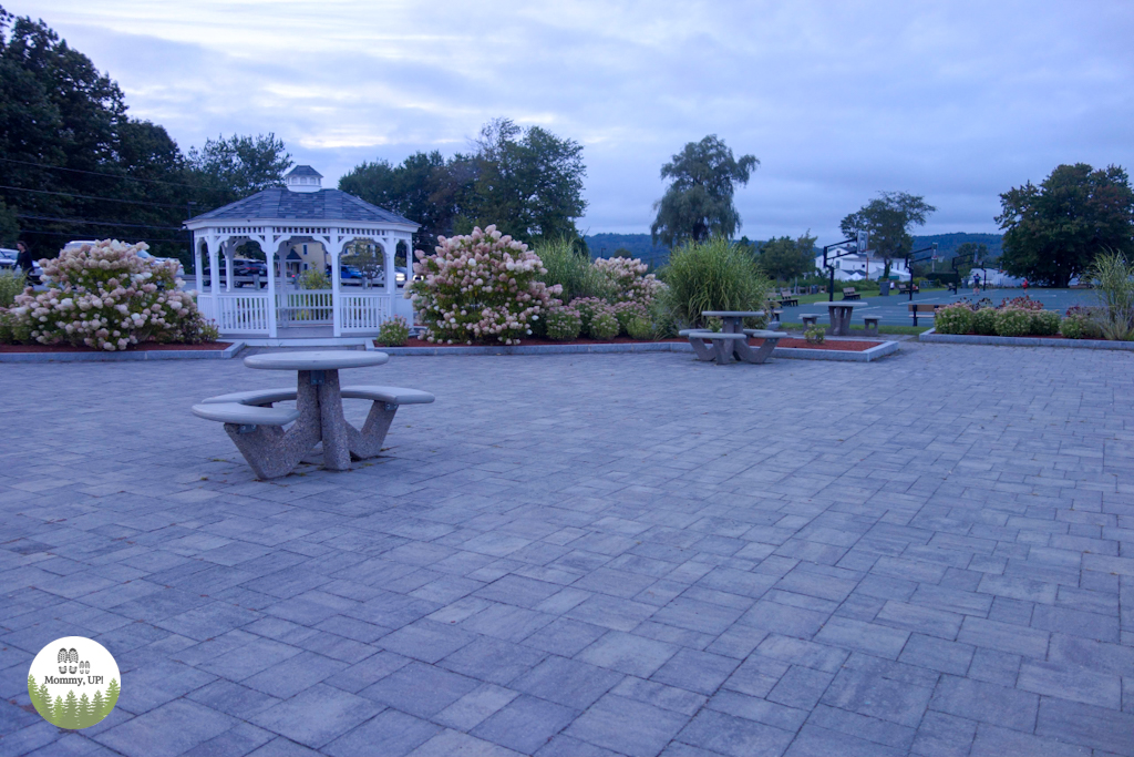 picnic patio and gazebo