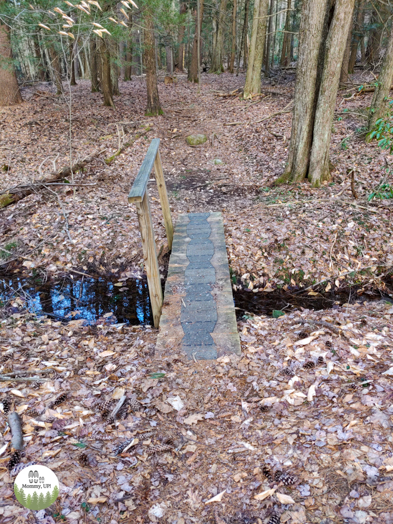 Bridge on Brook Trail in Milford near hitchiner town forest