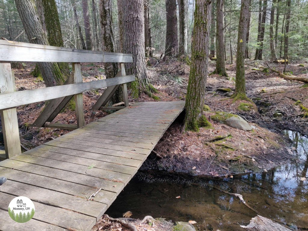 Bridge on Hazels Trail in Milford near hitchiner town forest