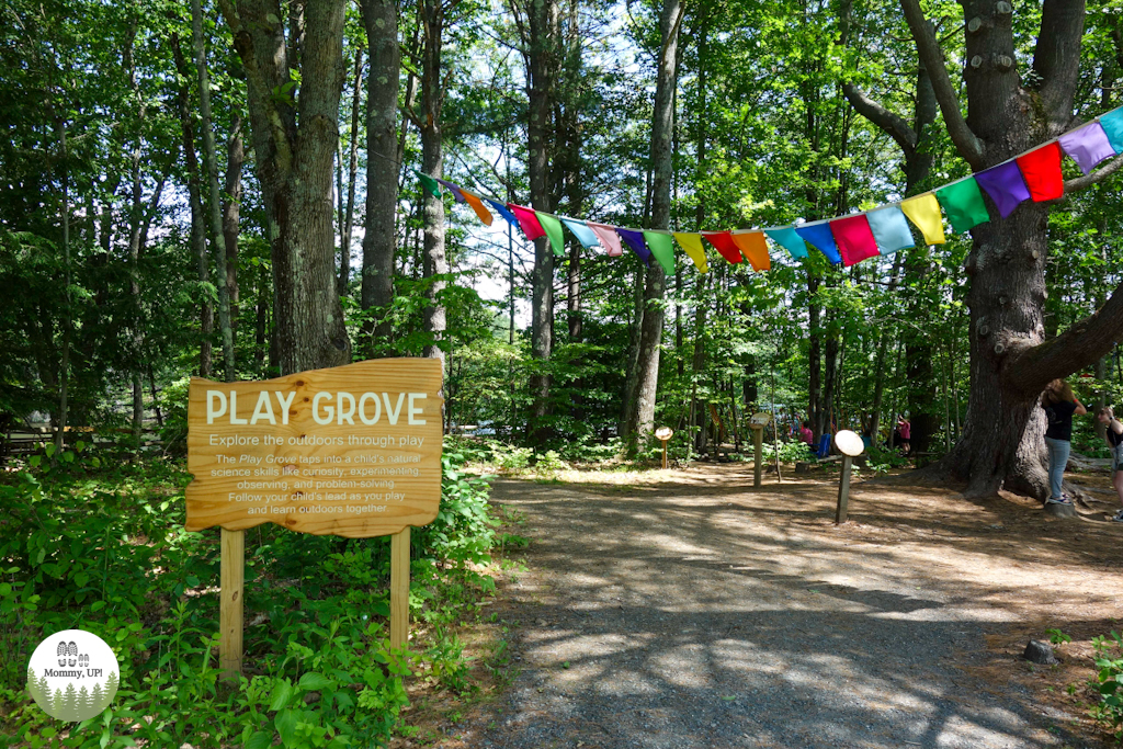 Play grove at montshire museum
