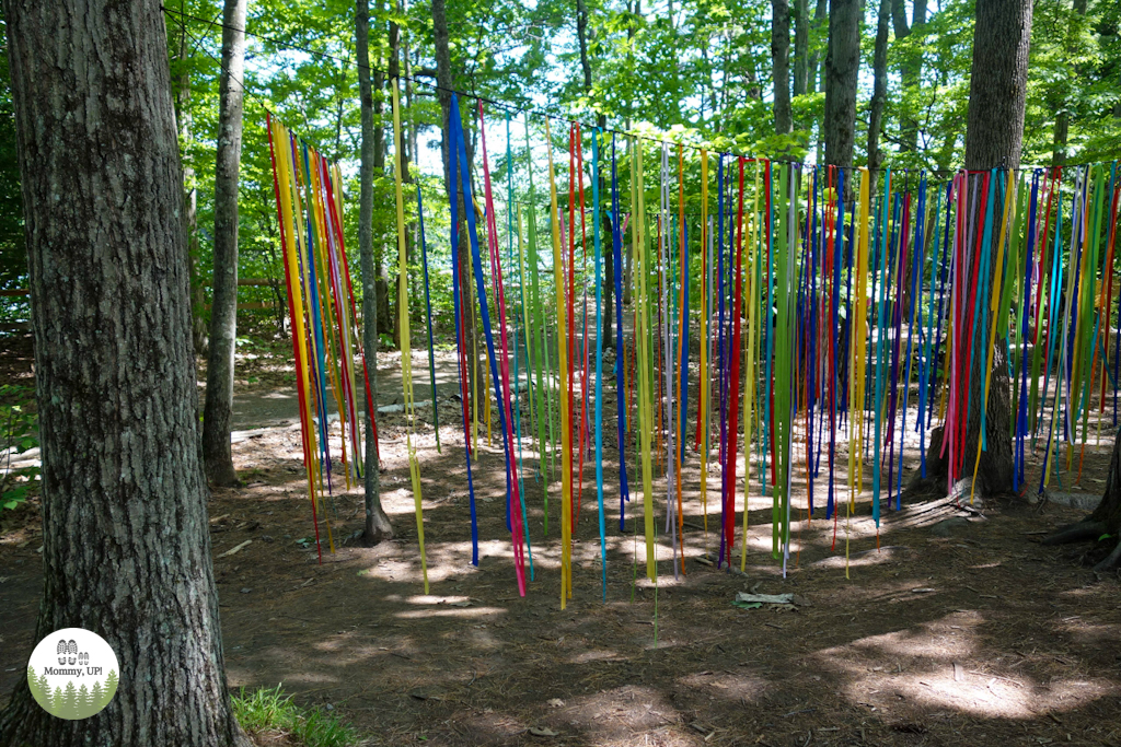 Ribbons in the play grove at montshire museum