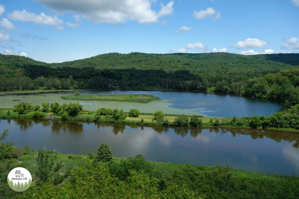 View from the Tree House on the Quechee Forest Canopy Walk 