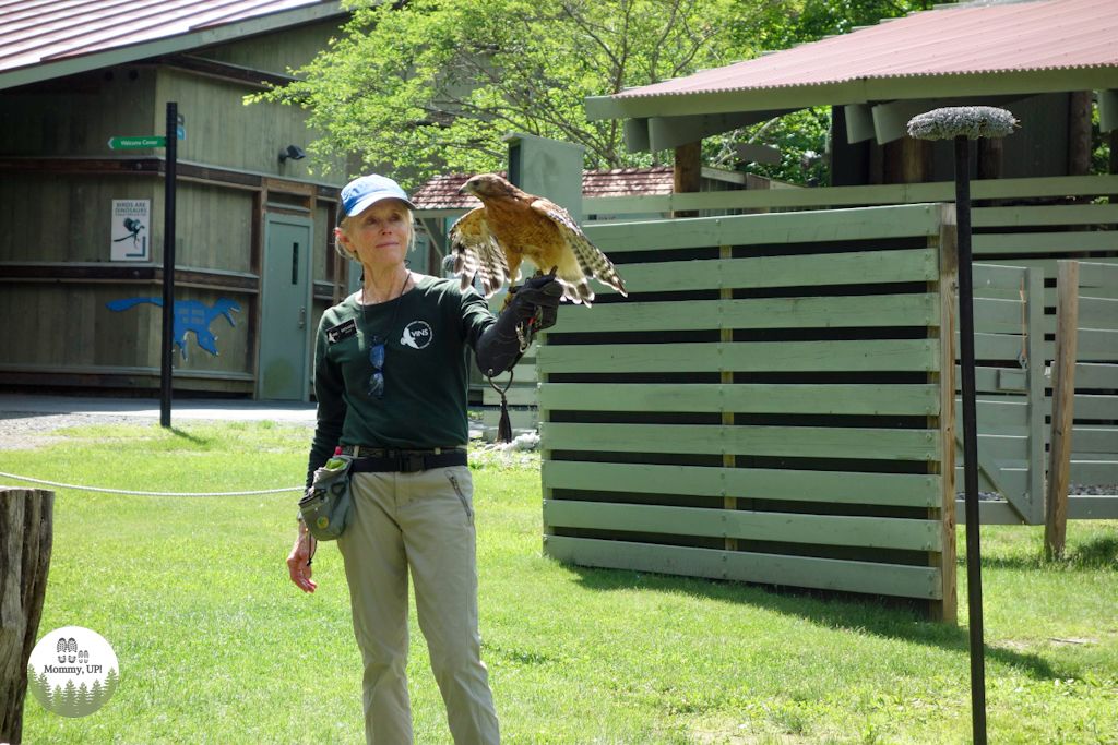 Raptor presentation at the VINS Nature Center