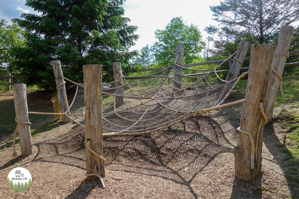 spiderweb climbing ropes at Vermont Institute of Natural Science's natural play area adventure playscape