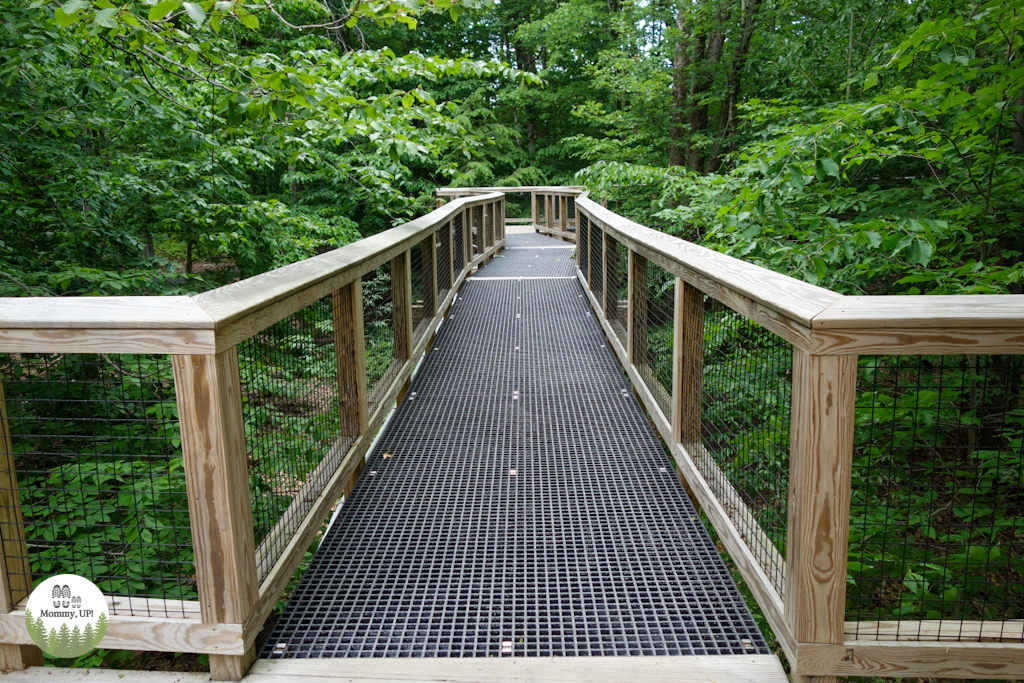 Quechee Forest Canopy Walk 