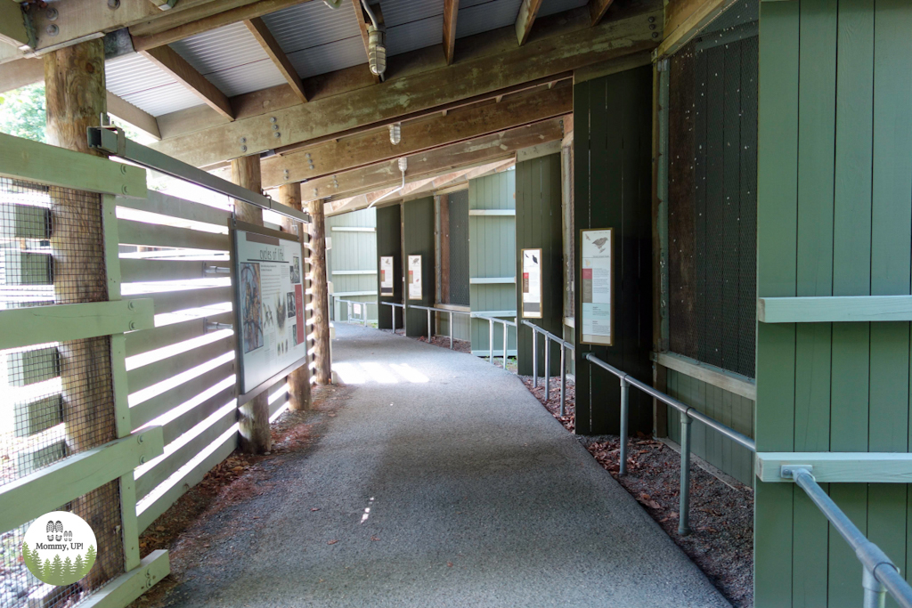 the raptor enclosures at VINS Nature Center