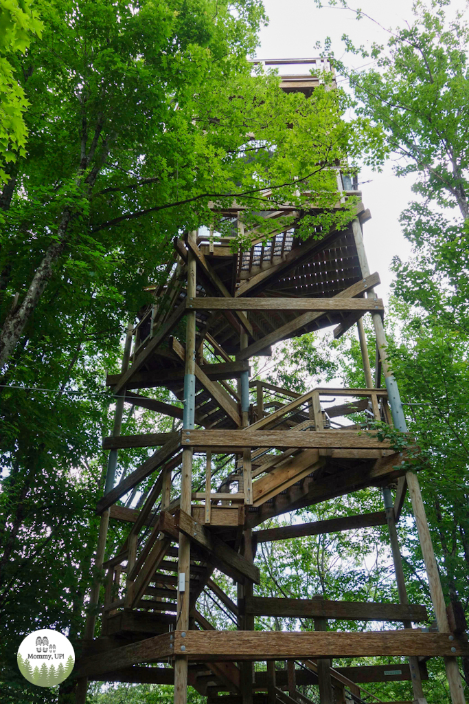 Tree House on the Quechee Forest Canopy Walk 