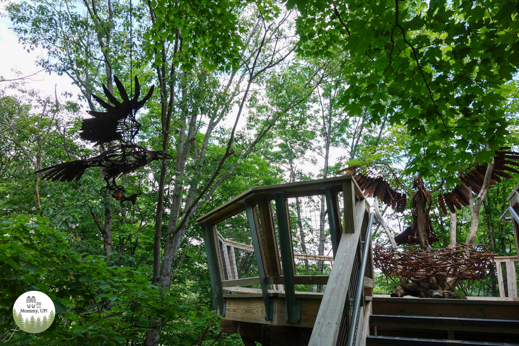 Quechee Forest Canopy Walk 