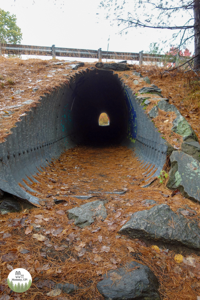 Tunnel on the rail trail in Milford, NH 