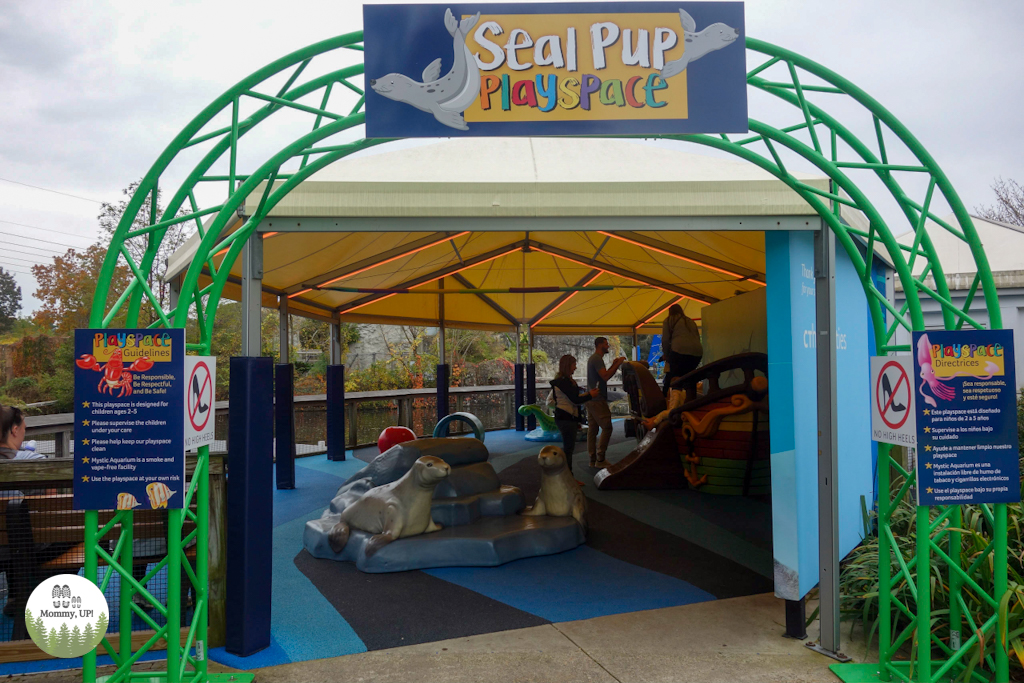 Seal pup playspace in Mystic, CT