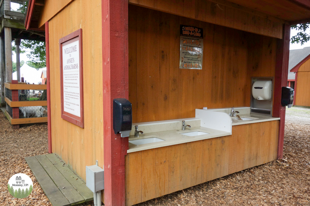 Handwashing station by the animal barn