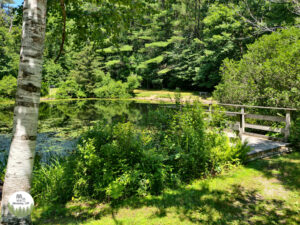 the pond at peabody mills environmental center in amherst nh