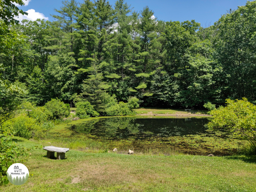 the pond at Peabody Mill Environmental Center