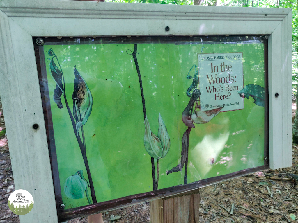 the storywalk at Peabody Mill Environmental Center