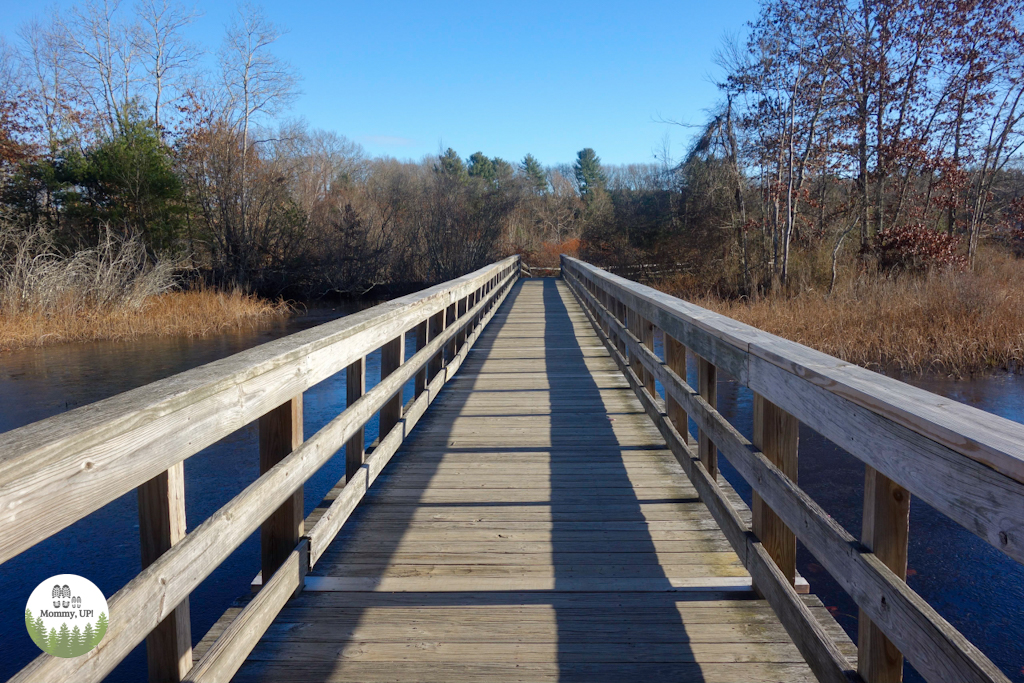 The Nature Trail And Cranberry Bog at Patriot Place