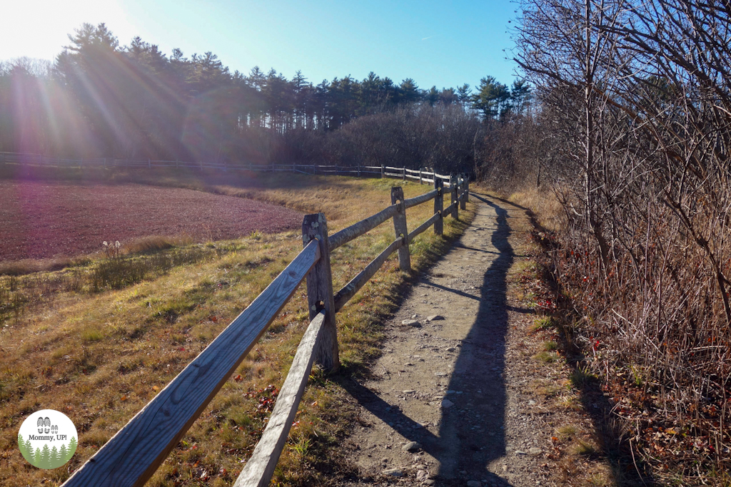 The Nature Trail And Cranberry Bog at Patriot Place