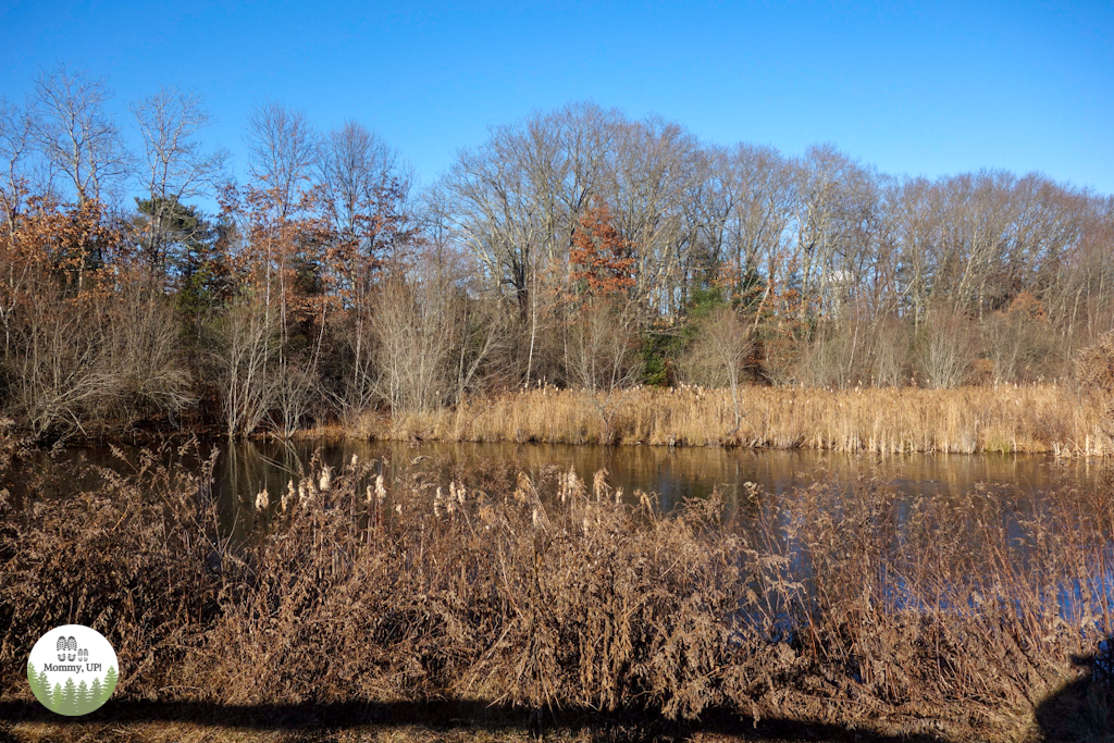 The Nature Trail And Cranberry Bog at Patriot Place