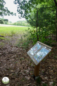 burns farm storywalk milford