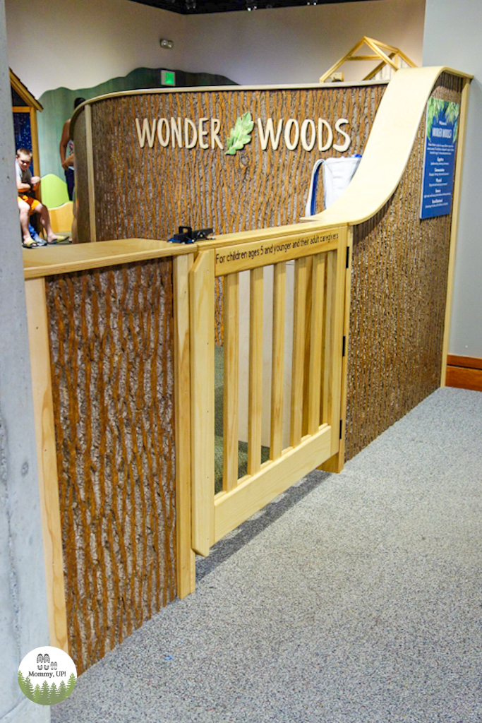 montshire museum wonder woods